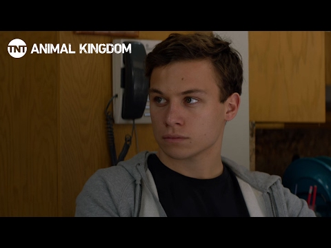 Animal Kingdom Season 2 (First Look Promo)