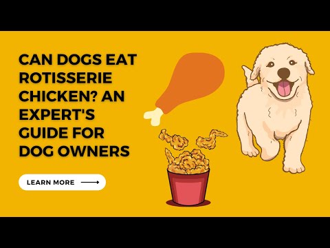 Can Dogs Eat Rotisserie Chicken An Expert's Guide for Dog Owners