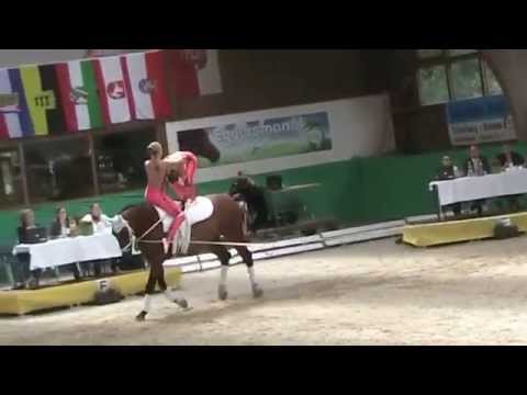 2015 Krumke  DVJM Juniorteam Hungen Kür