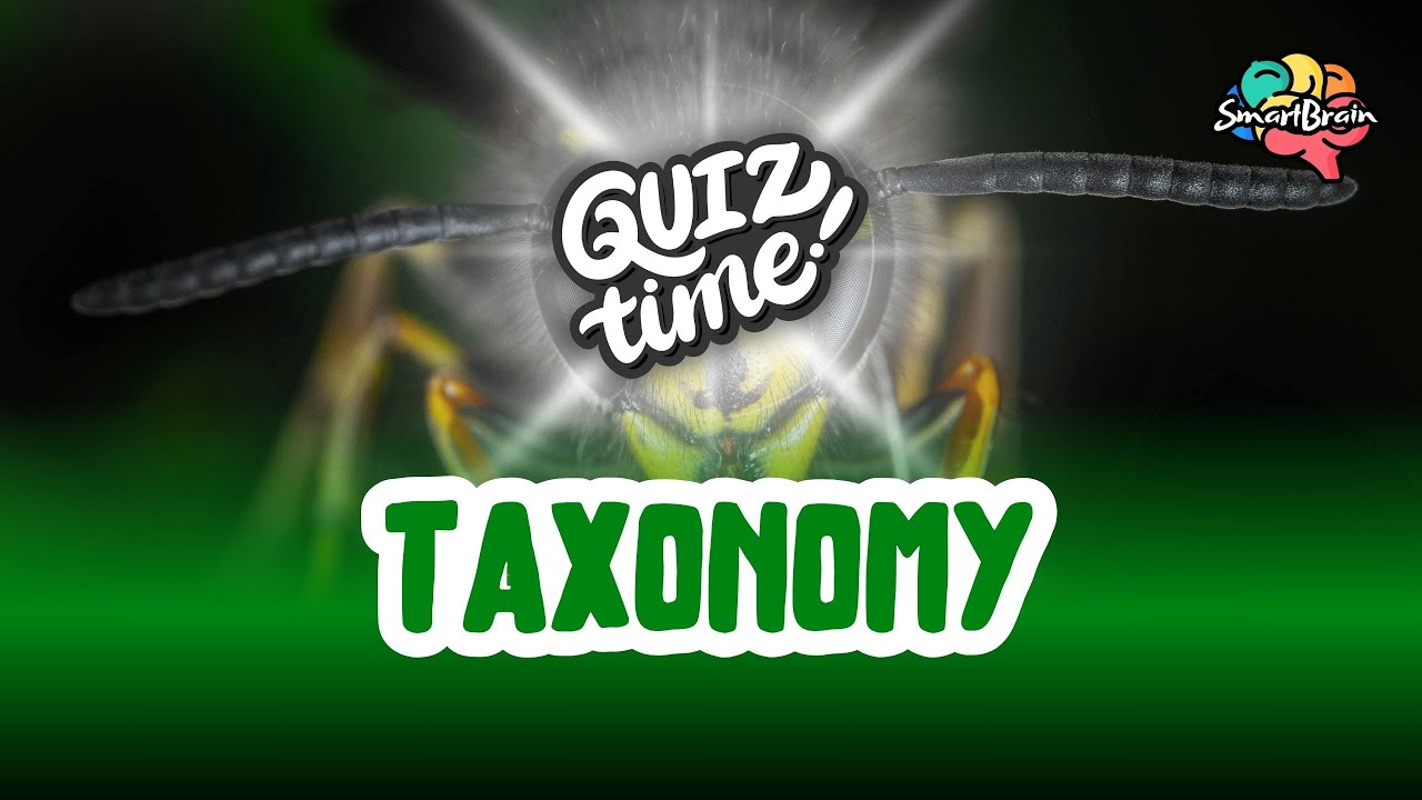 Quiz Time | Taxonomy | Smart Brain