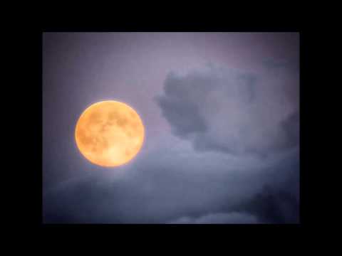 Alice Rose - Dancing In The Dark (Cover)