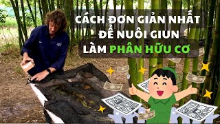 Cách đơn giản nhất để nuôi giun làm phân hữu cơ || Geoff Lawton - Nông nghiệp trường tồn