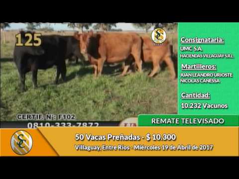 19-04-17 - Venta de Vientres - Remate Televisado de UMC & Haciendas Villaguay - Entre Ríos