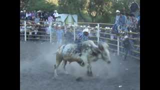 miguel avila vs el bandido de amores