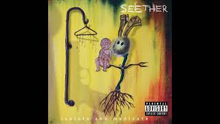 Seether - My Disaster