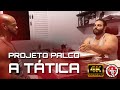 PROJETO PALCO - A TÁTICA FINAL