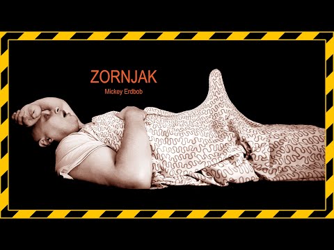 ZORNJAK - Mickey ERDBOB