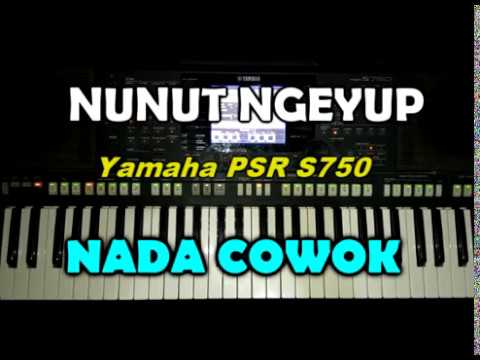 Nunut Ngiyup - Didi Kempot ( KARAOKE ) By Saka