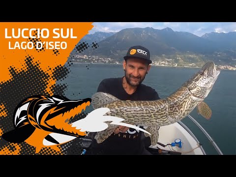 LA PESCA AL LUCCIO SUL LAGO D'ISEO