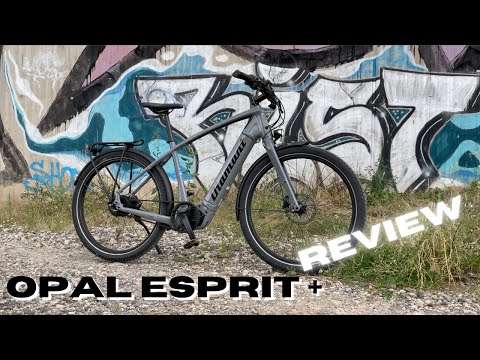 Diamant Opal Esprit +: E-Bike-Multitalent im Review
