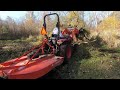 KIOTI Tractor vs. HUGE Willow Trees