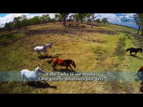 Recitim i qetë mahnitës i sures En-Nebe | Rad Muhamed El-Kurdij