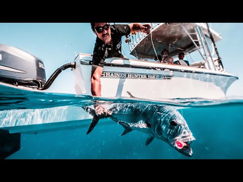 2500 hours and 25,000 beers | Epic Haines V213C rebuild