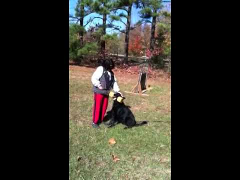 Xeppo remedial retrieve with sch 3 dumb bell