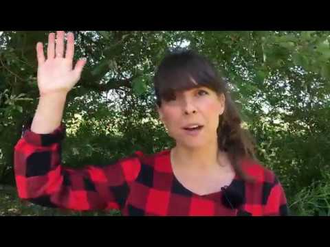 Allemansrätten: Inte störa och inte förstöra när du tältar och eldar i naturen | Naturvårdsverket