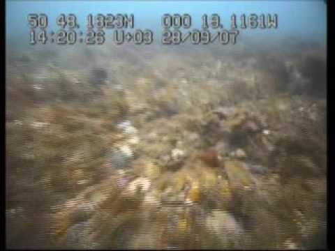 Habitat classification GV83