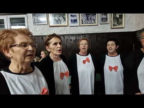 Ženski bećarac u Knešpolju