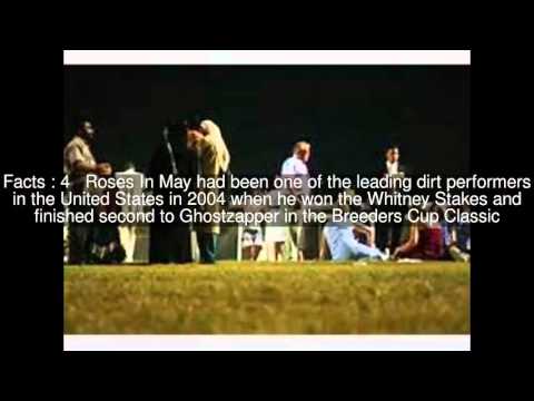 2005 Dubai World Cup Top  #7 Facts