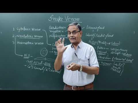 How Does Snake Venom Work?