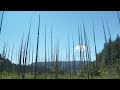 Jesse Joy - Nearly There (Official Music Video)