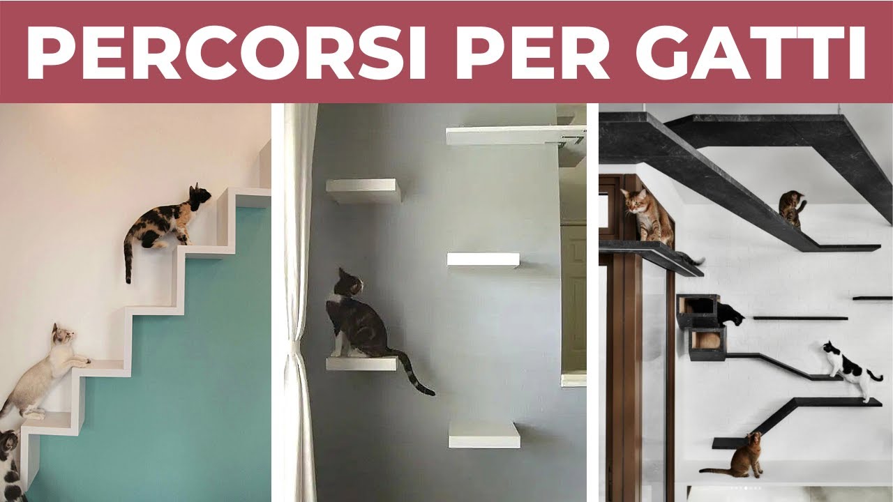 PERCORSI PER GATTI da parete fai da te | DIY