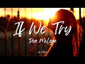 Don McLean - If We Try (Lyrics)