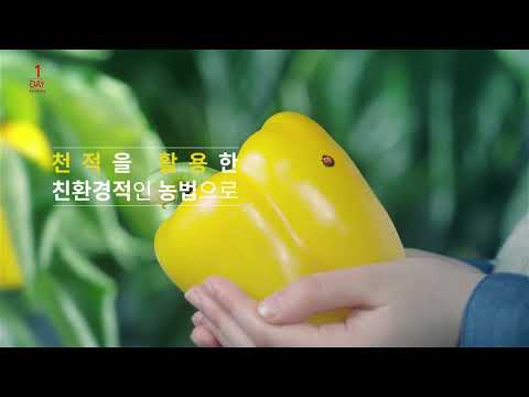 유튜브 영상 썸네일