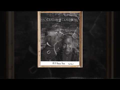 ATI FT VEEZO VIEW- CEAAR 2 CEASAR