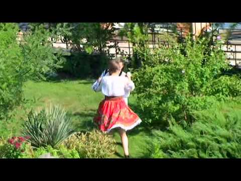 Nicu Popa Sus in deal