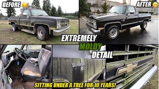 1986 CHEVY SILVERADO C-10 | GETS A RESURRECTION DETAIL AFTER SITTING FOR 10 YEARS! | AMAZING RESULTS