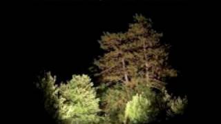 Department of Eagles - Love Me (Elvis cover)