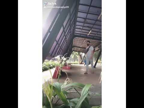 FANS RAFFI AHMAD | #VIRAL #RAFFIAHMAD #INDONESIA