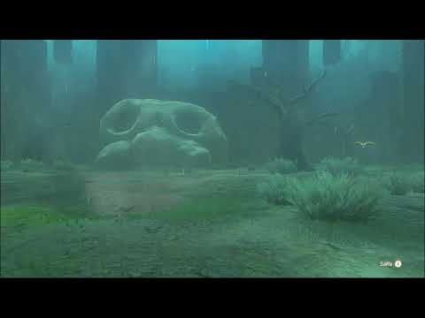 Guida la prova della spada parte finale