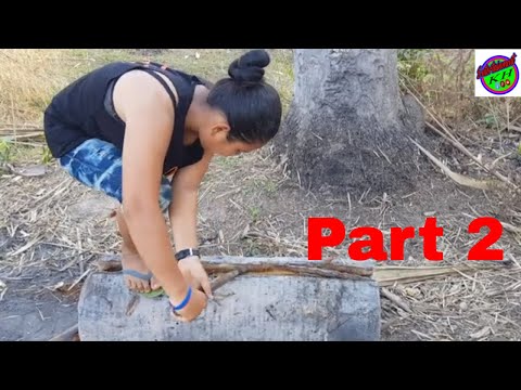 Primitive Nature | Finding the worm and cocoon for cooking