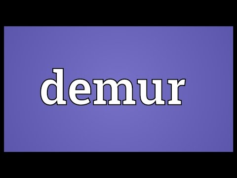 Demur Meaning