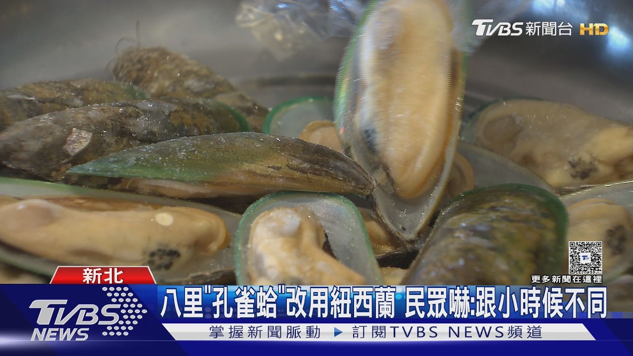 影音/曾日產300公斤撈嘸!八里孔雀蛤絕跡 饕客:怎會這樣