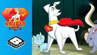 Krypto the Superdog | Gang of Alien Super-dogs | Boomerang UK