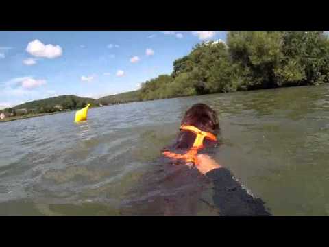 Rapport du noyé par Kiwi