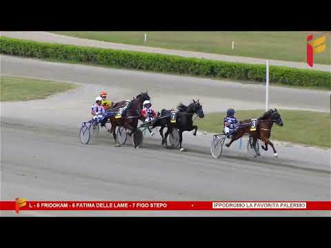 Prova di Qualifica del 24 Giugno 2023 - 2 Anni - Metri 1600