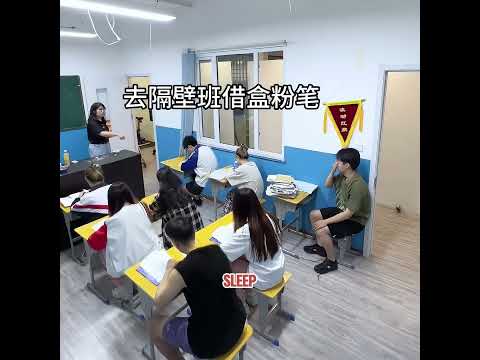 Playfulness is a natural part of being a student.#pets #cat #cute #shorts