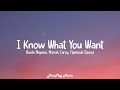 Busta Rhymes Ft Mariah Carey Flipmode Squad I Know What You Want Lyrics