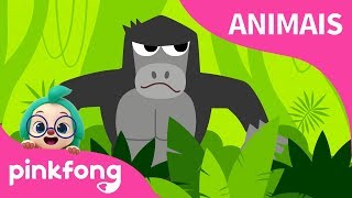Selva Boogie | Canções de Animais | Pinkfong Canções para crianças