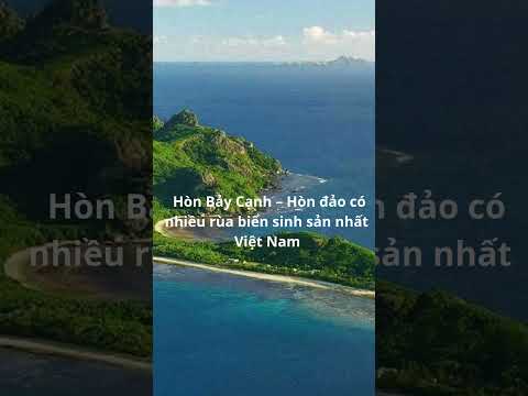 Hòn Bảy Cạnh - Hòn đảo có nhiều rùa biển sinh sản nhất Việt Nam