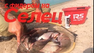 Водохранилище селец платная рыбалка