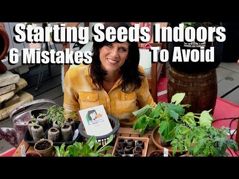 , title : 'Starting Seeds Indoors for Your Spring Garden - 6 Mistakes to Avoid /  Spring Garden Series #1'