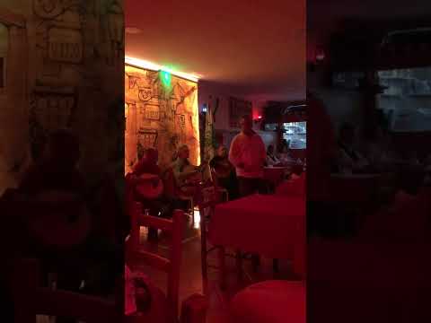 Daniel Duarte & “José Manuel de Castro - Roseira Botão de Gente”