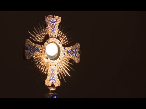 Adorazione Eucaristica - Međugorje - Martedì 4/2/2020 - fra Francesco Rizzi