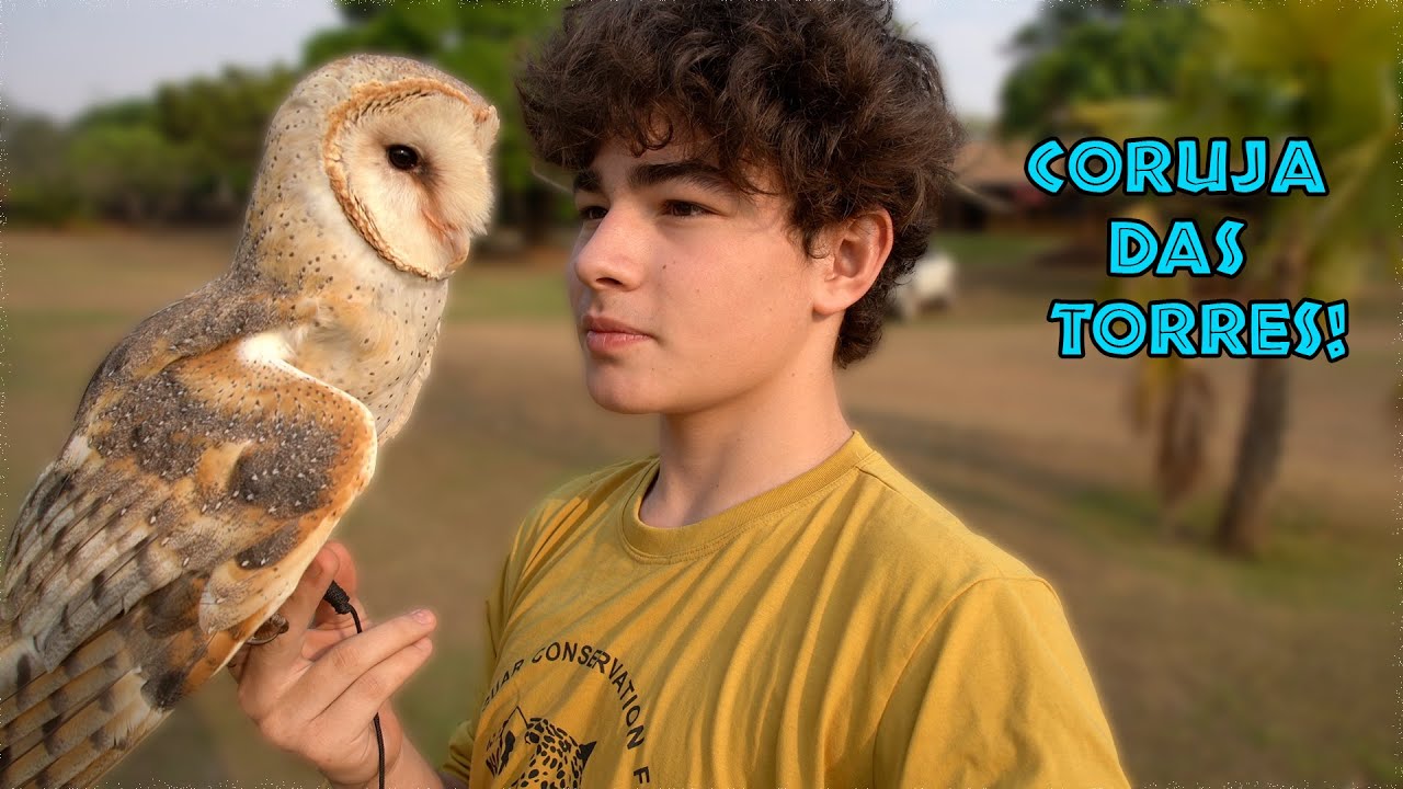 CONHECENDO A CORUJA SUINDARA OU CORUJA DAS TORRES! | TIAGO JÁCOMO