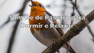  Som De  Pssaro para  Dormir  e Relaxar