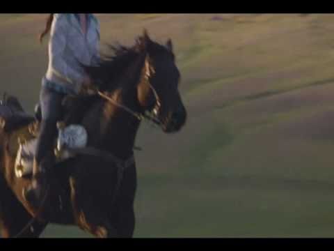 Wild Horses - Flicka song.